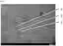 Fig. 06 - RARE EARTH ALUMINATE SINTERED BODY AND METHOD FOR PRODUCING THE SAME