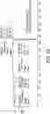Fig. 64 - SOLID STATE FORMS OF FUSED HETEROAROMATIC PYRROLIDINONES
