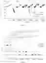 Fig. 08 - BIOLOGICAL MACROMOLECULAR TARGET-SPECIFIC COMPLEMENT INHIBITOR, PREPARATION METHOD THEREFOR, AND APPLICATION THEREOF