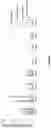 Fig. 04 - PHARMACEUTICAL FORMULATION