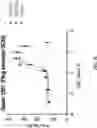 Fig. 06 - Anti-ULBP6 antibodies