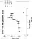 Fig. 07 - Anti-ULBP6 antibodies
