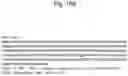 Fig. 197 - BISPECIFIC ANTIBODY