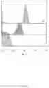 Fig. 09 - EXPRESSION VECTOR FOR USE IN METHANOTROPH