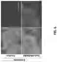 Fig. 07 - METHODS FOR DETECTING ANTIBODIES