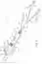 Fig. 03 - ELECTRICAL TEST DEVICE AND METHOD
