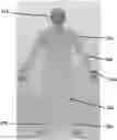 Fig. 01 - System and method for generating an avatar that expresses a state of a user