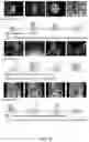 Fig. 07 - TEXT-CONDITIONED VIDEO REPRESENTATION
