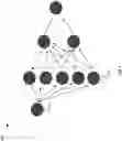 Fig. 08 - AUTOMATIC SWITCHING BETWEEN LANGUAGES DURING VIRTUAL CONFERENCES