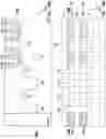 Fig. 35 - Memory device including in-tier driver circuit
