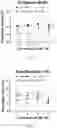 Fig. 06 - SYSTEMS AND METHODS TO EVALUATE DRUG-INDUCED GASTROINTESTINAL DYSRHYTHMIA