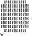 Fig. 08 - SYSTEMS AND METHODS TO EVALUATE DRUG-INDUCED GASTROINTESTINAL DYSRHYTHMIA