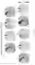 Fig. 44 - SYSTEMS AND METHODS TO EVALUATE DRUG-INDUCED GASTROINTESTINAL DYSRHYTHMIA