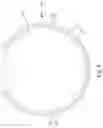 Fig. 05 - Display device and driving circuit structure