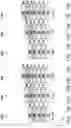 Fig. 17 - Gate structure and method