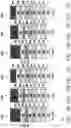 Fig. 20 - Gate structure and method