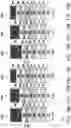 Fig. 21 - Gate structure and method