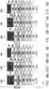 Fig. 22 - Gate structure and method