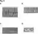 Fig. 04 - Carrier assembly and method for producing a carrier assembly
