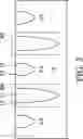 Fig. 04 - Semiconductor structure having buried word lines