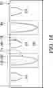 Fig. 15 - Semiconductor structure having buried word lines