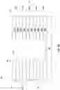 Fig. 07 - Methods of forming a staircase structure