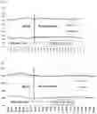 Fig. 05 - ANIMAL FEED SUPPLEMENT AND METHODS OF MAKING