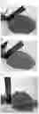 Fig. 06 - ANIMAL FEED SUPPLEMENT AND METHODS OF MAKING