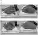 Fig. 07 - ANIMAL FEED SUPPLEMENT AND METHODS OF MAKING