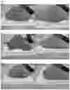 Fig. 08 - ANIMAL FEED SUPPLEMENT AND METHODS OF MAKING