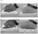 Fig. 09 - ANIMAL FEED SUPPLEMENT AND METHODS OF MAKING