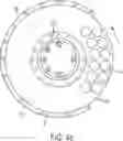 Fig. 07 - ROTATABLE SYSTEM TO REPETITIVELY PREPARE FOOD PATTIES FROM A SOURCE OF FLOWING FOOD