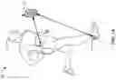 Fig. 02 - Wireless data communication and power transmission athletic apparel module
