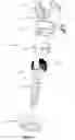 Fig. 07 - Spinal Fixation System