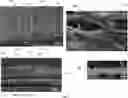 Fig. 08 - MEMBRANE-SUPPORTED, THERMOELECTRIC COMPOSITIONS