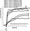 Fig. 01 - DENTAL COMPOSITION