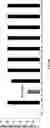 Fig. 06 - COMPOSITIONS AND METHODS FOR TREATING AND/OR PREVENTING OCULAR DISORDERS