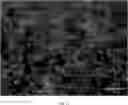 Fig. 07 - Marine polysaccharide vector-based anthocyanin nanoparticles, and preparation method therefor and application thereof in targeted delivery