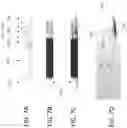 Fig. 09 - LESS INVASIVE AND IMPROVED PERIPHERAL NERVE STIMULATORS FOR OBSTRUCTIVE SLEEP APNEA AND OTHER APPLICATIONS