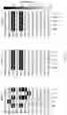 Fig. 44 - Antigen binding molecules targeting SARS-CoV-2