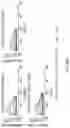 Fig. 49 - Antigen binding molecules targeting SARS-CoV-2