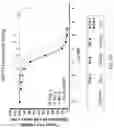 Fig. 136 - OPTIMIZED ANTIBODIES TARGETING TROP2 AND USES THEREOF