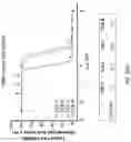 Fig. 166 - OPTIMIZED ANTIBODIES TARGETING TROP2 AND USES THEREOF