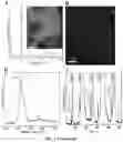 Fig. 03 - Methods for preparing a monolayer or few-layer crystalline black phosphorous film on a two-dimensional surface by focusing a pulsed laser beam on a black phosphorous target