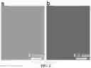 Fig. 04 - Methods for preparing a monolayer or few-layer crystalline black phosphorous film on a two-dimensional surface by focusing a pulsed laser beam on a black phosphorous target