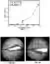 Fig. 06 - Stoichiometric high-temperature direct-injection compression-ignition engine