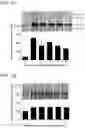 Fig. 02 - Compositions and methods for assaying platelet reactivity and treatment selection