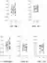 Fig. 07 - METHODS FOR THE DETECTION AND TREATMENT OF PROSTATE CANCER