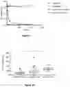 Fig. 02 - Assay for Assessing Cancer