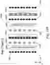 Fig. 22 - Adaptive lens assemblies including polarization-selective lens stacks for augmented reality display